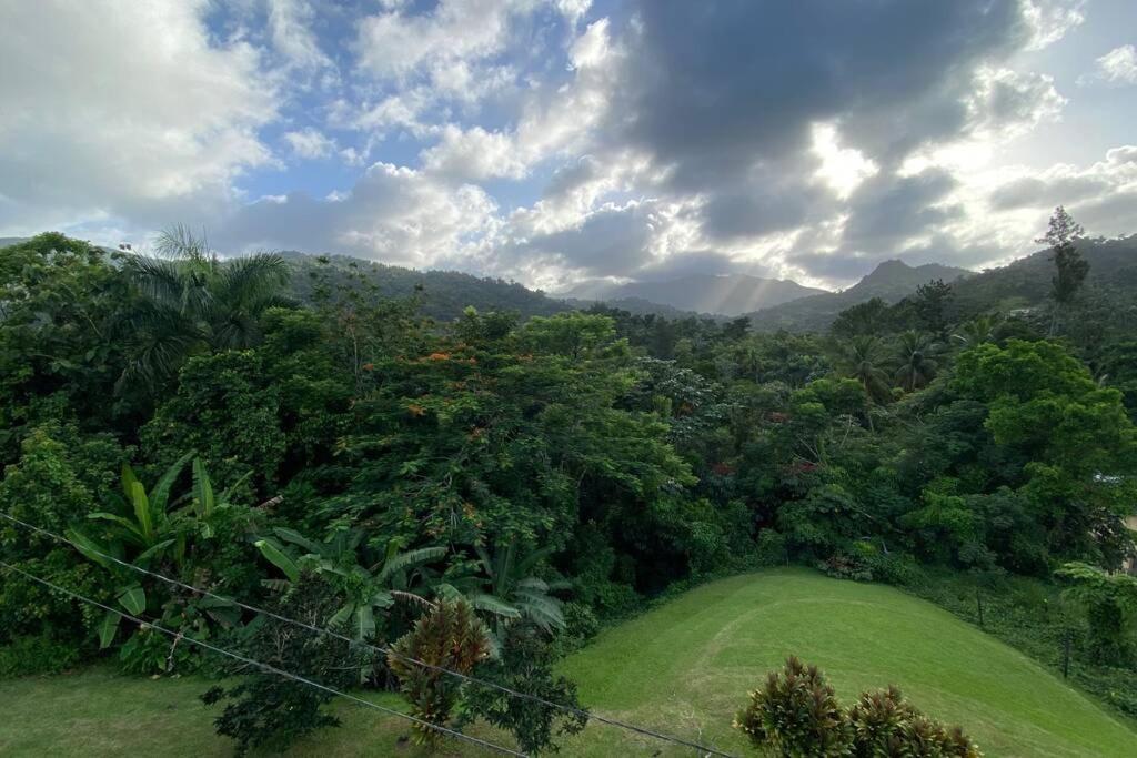 Rainforest Retreat 15 Min From The Beach Luquillo Bagian luar foto