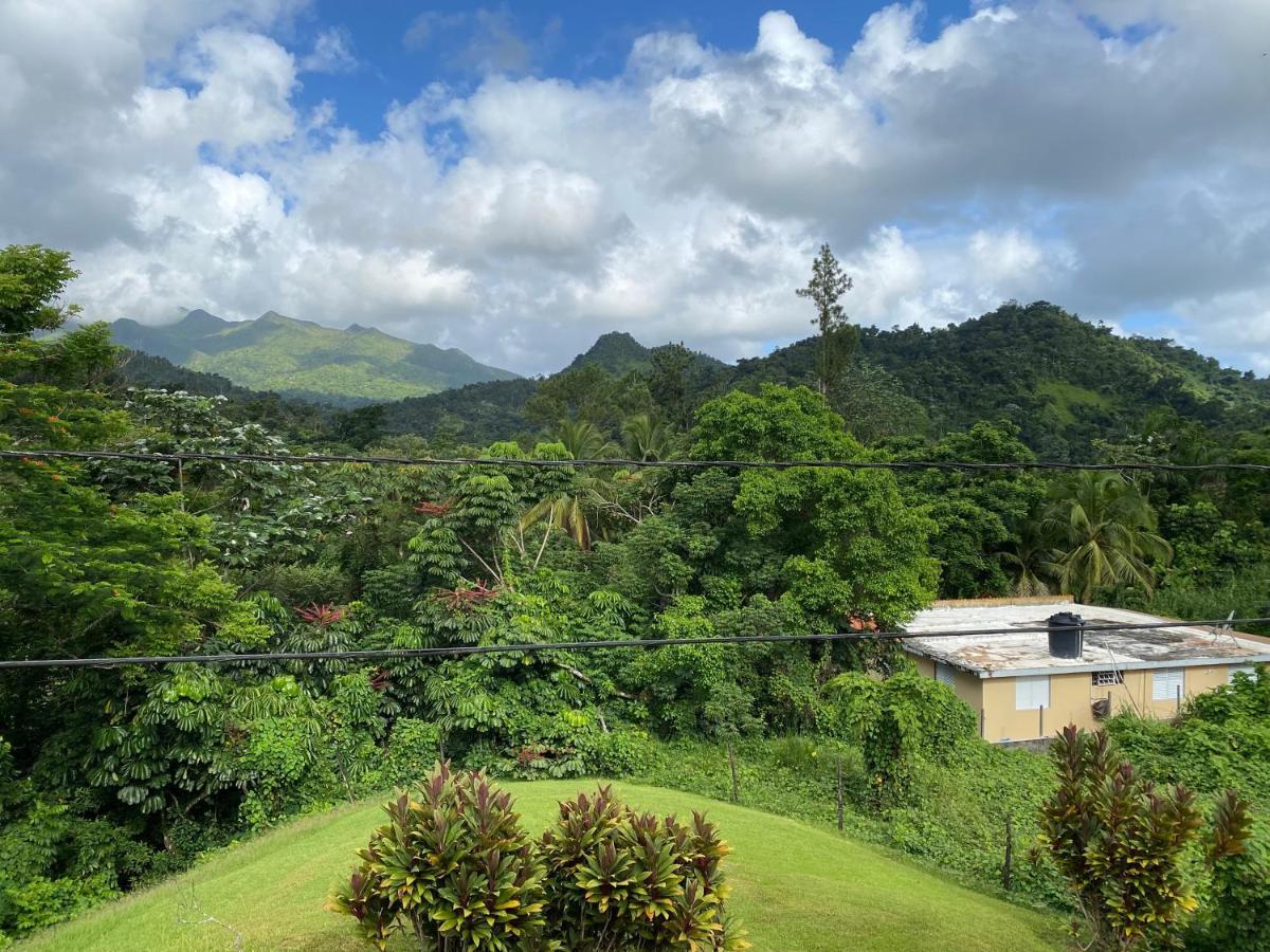 Rainforest Retreat 15 Min From The Beach Luquillo Bagian luar foto