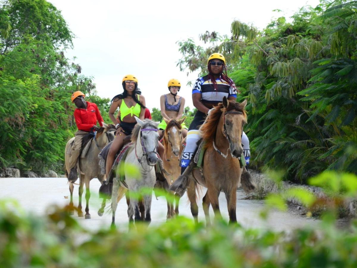 Rainforest Retreat 15 Min From The Beach Luquillo Bagian luar foto