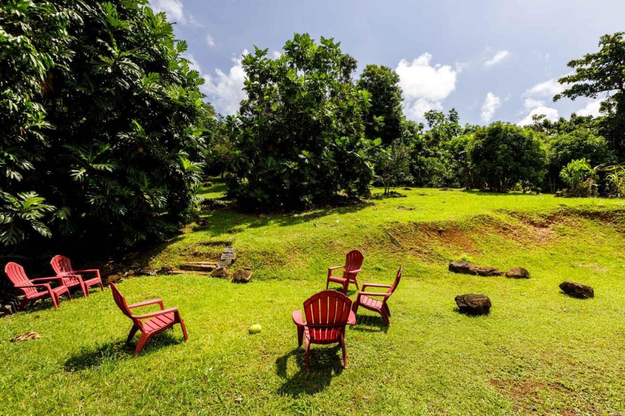 Rainforest Retreat 15 Min From The Beach Luquillo Bagian luar foto