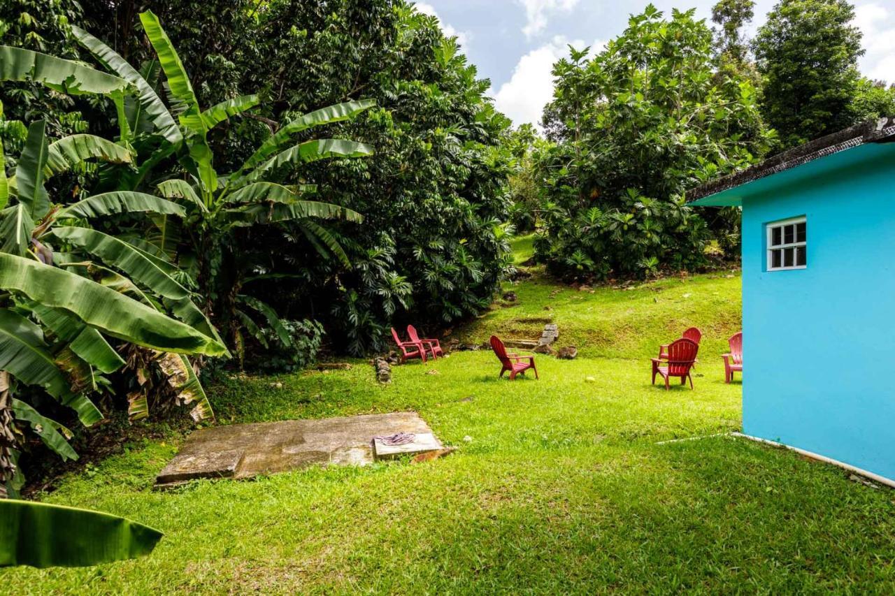 Rainforest Retreat 15 Min From The Beach Luquillo Bagian luar foto