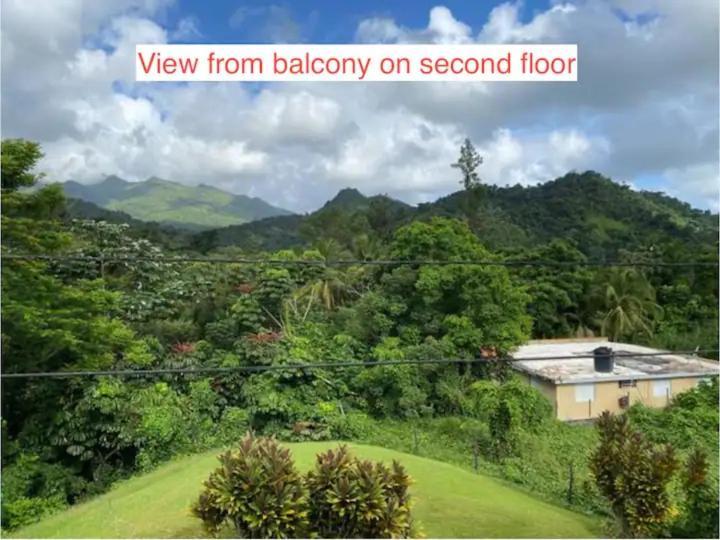 Rainforest Retreat 15 Min From The Beach Luquillo Bagian luar foto